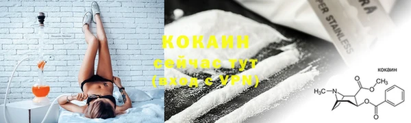 стафф Арсеньев