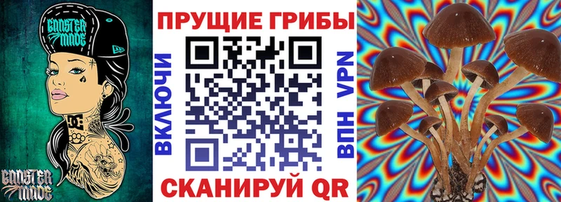 купить наркотик  Талица  Галлюциногенные грибы прущие грибы 